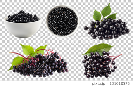 Elderberry Elderberries berry berries fruit, many angles view top front bunch pile bowl isolated on transparent background cutout, PNG file. Mockup template for artwork 131018576