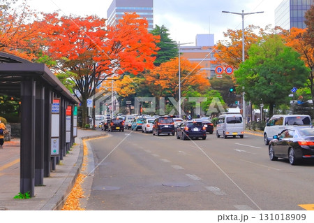 爽やかな青空と紅葉の街路樹 131018909