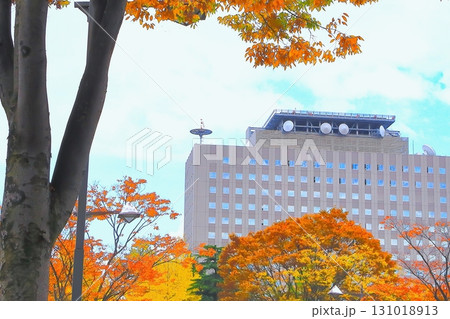 宮城県庁と紅葉の樹木 宮城県庁と紅葉の樹木 131018913