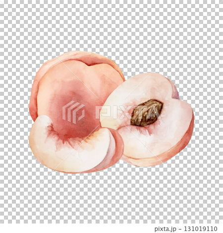 Peach summer juicy ripe fruit. Watercolor hand drawn floral food illustration isolated on white background for home kitchen textile fresh fabric print card cosmetic package porcelain crockery label 131019110