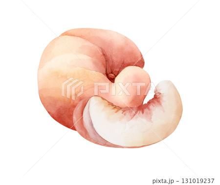 Peach fruit slice. Summer Watercolor hand drawn floral ripe food illustration isolated on white background for home kitchen textile fresh fabric print card cosmetic package porcelain crockery label 131019237