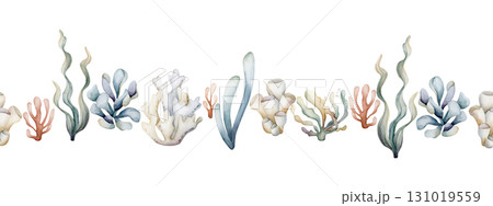 Seaweed Algae Sea Coral Sponge Plant seamless border. Watercolor hand painted summer illustration on white background Cute pastel neutral underwater for kids baby nursery textile fabric wrapping paper Seaweed Algae Sea Coral Sponge Plant seamless border. Watercolor hand painted summer illustration on white background Cute pastel neutral underwater for kids baby nursery textile fabric wrapping paper 131019559
