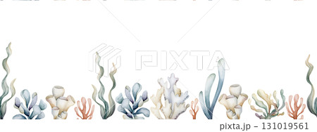 Seaweed Algae Sea Coral Sponge Plant seamless border. Watercolor hand painted summer illustration on white background Cute pastel neutral underwater for kids baby nursery textile fabric wrapping paper 131019561