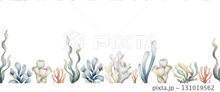 Seaweed Algae Sea Coral Sponge Plant seamless border. Watercolor hand painted summer illustration on white background Cute pastel neutral underwater for kids baby nursery textile fabric wrapping paper Seaweed Algae Sea Coral Sponge Plant seamless border. Watercolor hand painted summer illustration on white background Cute pastel neutral underwater for kids baby nursery textile fabric wrapping paper 131019562