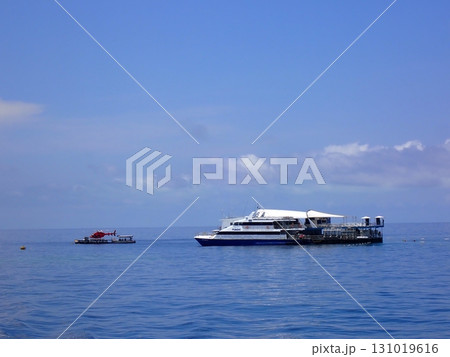 Great Barrier Reef Great Barrier Reef 131019616