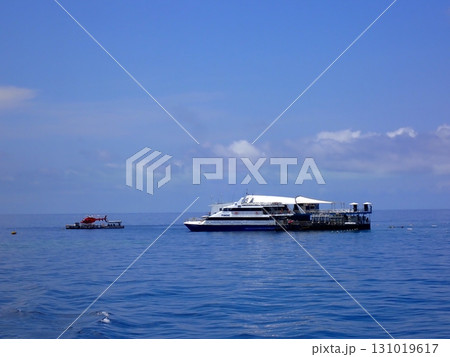 Great Barrier Reef　 131019617