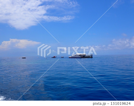 Great Barrier Reef　 131019624