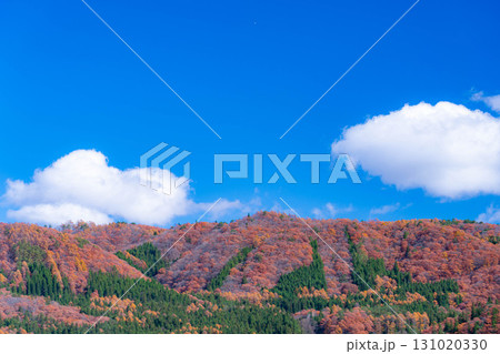 【秋素材】晩秋の白馬村の紅葉の様子と青空【長野県】 【秋素材】晩秋の白馬村の紅葉の様子と青空【長野県】 131020330