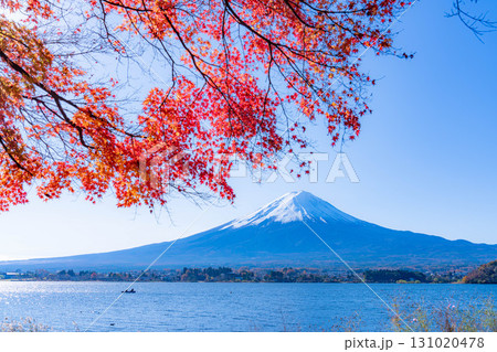 【富士山素材】秋の河口湖から見る冠雪した富士山と紅葉【山梨県】 131020478