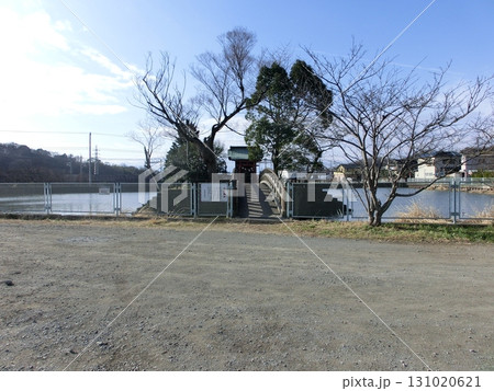 神奈川県中郡大磯町の厳島神社(弁天社) 神奈川県中郡大磯町の厳島神社(弁天社) 131020621