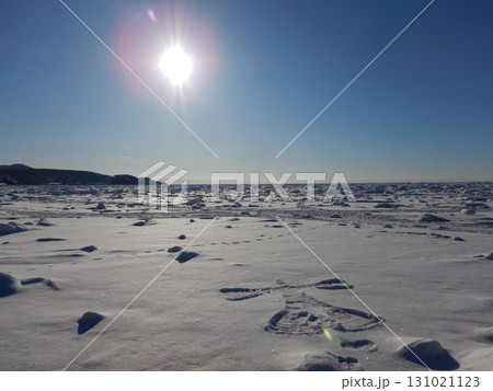 知床の流氷 131021123
