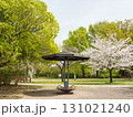 桜と新緑に囲まれた東屋のある春の公園 131021240