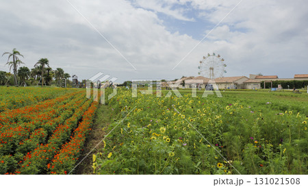 ソレイユの丘 131021508