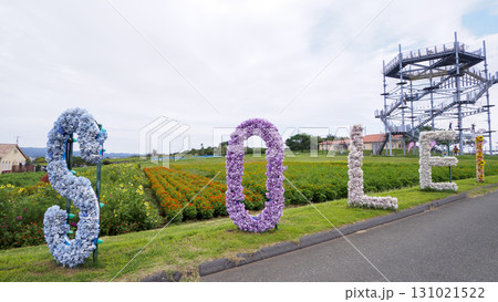 ソレイユの丘 131021522