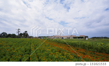 ソレイユの丘 ソレイユの丘 131021533