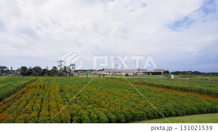 ソレイユの丘 131021539