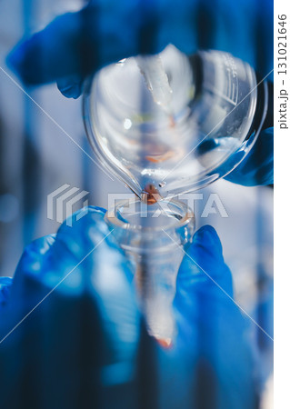 Researchers working in the clinical laboratory Researchers working in the clinical laboratory 131021646