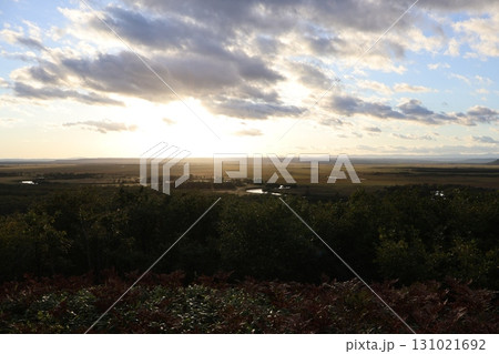 秋の釧路湿原、夕陽が照らす大地 秋の釧路湿原、夕陽が照らす大地 131021692