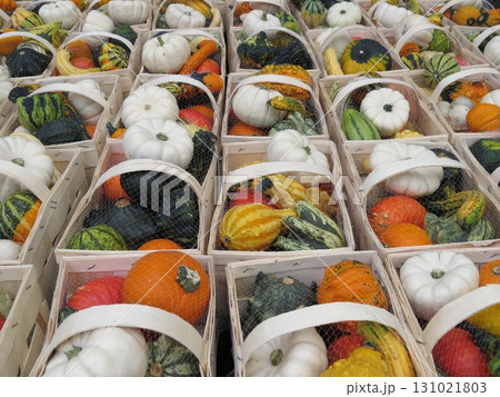 カラフルな野菜 131021803