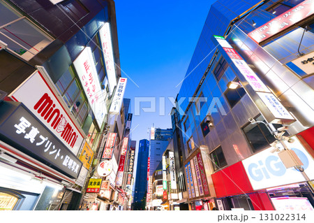 【東京都】5月・新宿駅近くの歓楽街 131022314