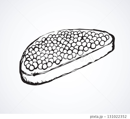 Caviar. Vector drawing 131022352