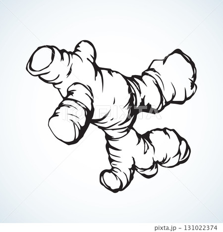 Ginger. Vector drawing Ginger. Vector drawing 131022374