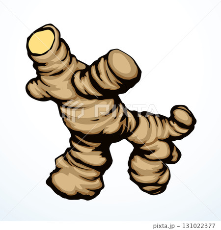 Ginger. Vector drawing food object 131022377
