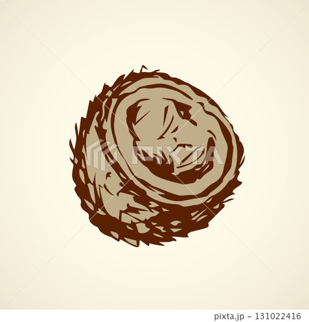 Coconut. Vector drawing 131022416