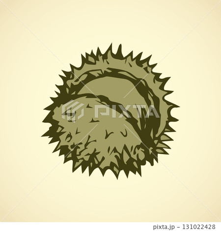 Chestnut. Vector drawing 131022428