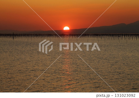 大牟田市 有明海 海苔畑、 大牟田市 有明海 海苔畑、 131023092