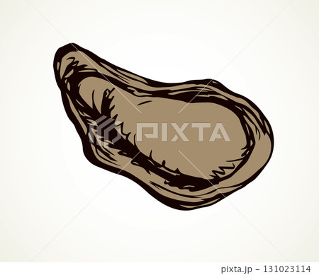 Oyster. Vector drawing Oyster. Vector drawing 131023114