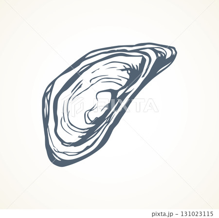 Oyster. Vector drawing 131023115