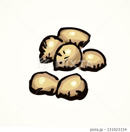 Grains of lentil. vector drawing 131023154