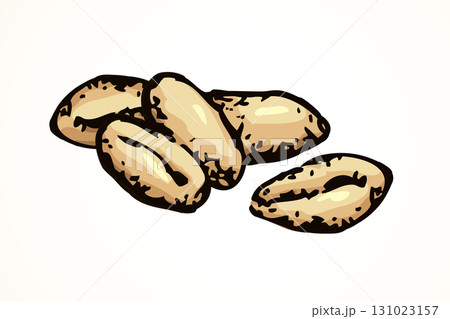Wheat grains. Vector drawing 131023157
