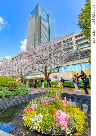 東京　港区 赤坂　東京ミッドタウンと桜 131023315