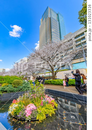 東京　港区 赤坂　東京ミッドタウンと桜 131023316