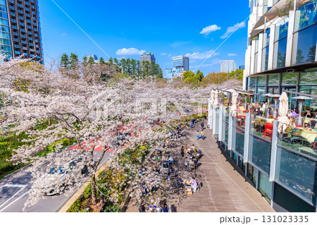 東京　港区 赤坂　東京ミッドタウンと桜 131023335