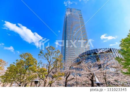 東京　港区 赤坂　東京ミッドタウンと桜 131023345