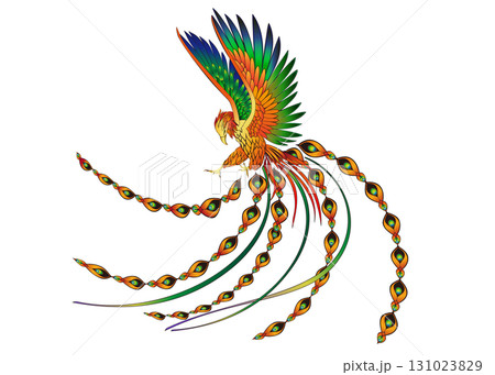 鮮やかな鳳凰 131023829