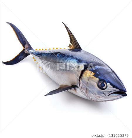 Fresh Bluefin Tuna fish for cooking food isolated on white background 131023875