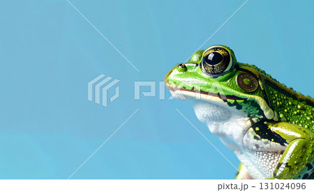 鮮やかな緑と白のコントラストが映えるアマガエルの表情「AI生成画像」 131024096