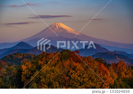 【静岡県】秋の葛城山から望む富士山 131024850