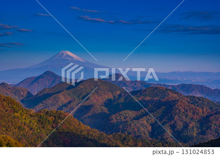 【静岡県】秋の葛城山から望む富士山 【静岡県】秋の葛城山から望む富士山 131024853