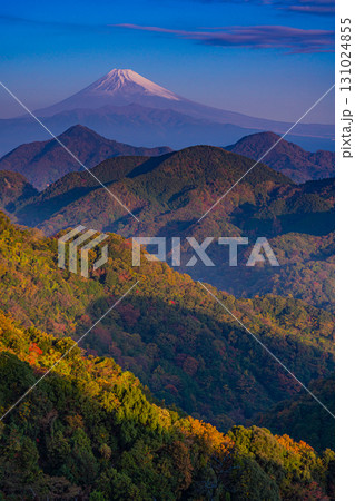 【静岡県】秋の葛城山から望む富士山 【静岡県】秋の葛城山から望む富士山 131024855