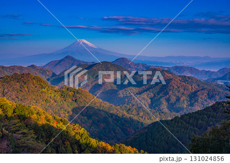 【静岡県】秋の葛城山から望む富士山 【静岡県】秋の葛城山から望む富士山 131024856