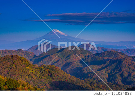 【静岡県】秋の葛城山から望む富士山 【静岡県】秋の葛城山から望む富士山 131024858