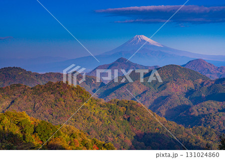 【静岡県】秋の葛城山から望む富士山 131024860