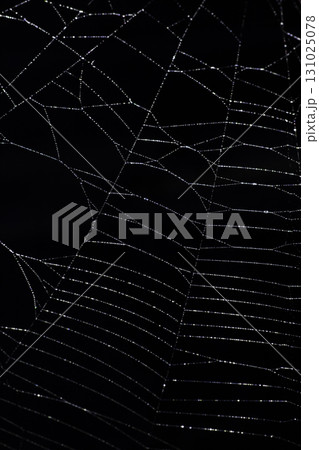 Spooky spiderweb spider web with water droplets close up background Spooky spiderweb spider web with water droplets close up background 131025078