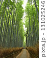 竹林の小路 131025246