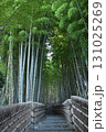 竹林の参道 131025269